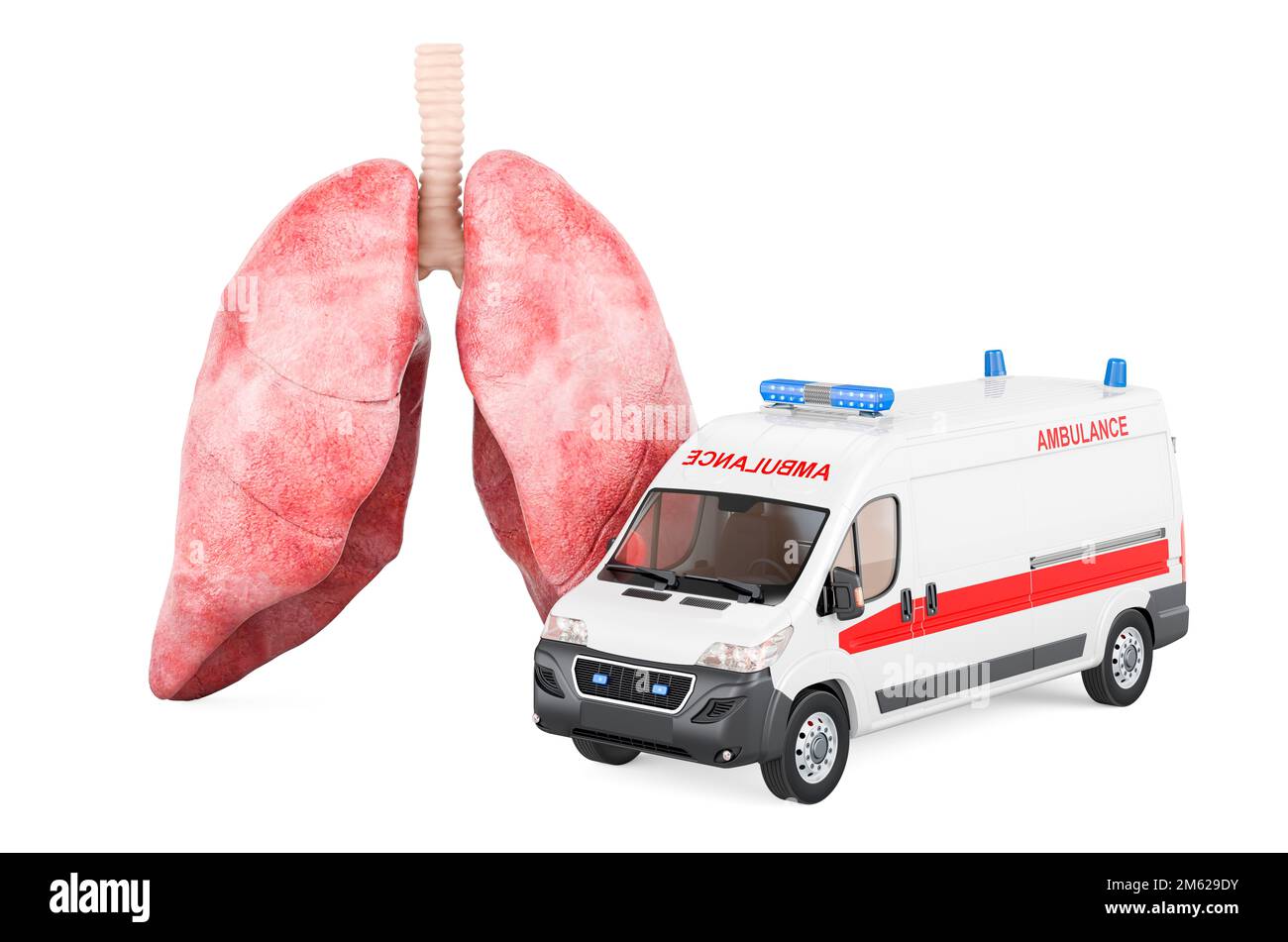 Polmoni umani con furgone ambulanza. Concetto di trattamento dei polmoni, 3D che rende isolato su sfondo bianco Foto Stock
