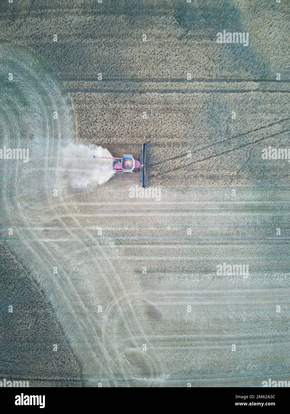 Vista aerea della trebbiatrice di grano con segni di prodotto e cingoli, taglio attraverso un campo di grano secco, Victoria, Australia. Foto Stock