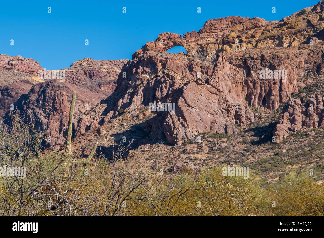 L'Arch Canyon, sul lato ovest dell'Ajo Range in Organ Pipe Cactus National Monument, prende il nome da un arco largo 90 metri vicino alla cima del frastagliato, rosso Foto Stock