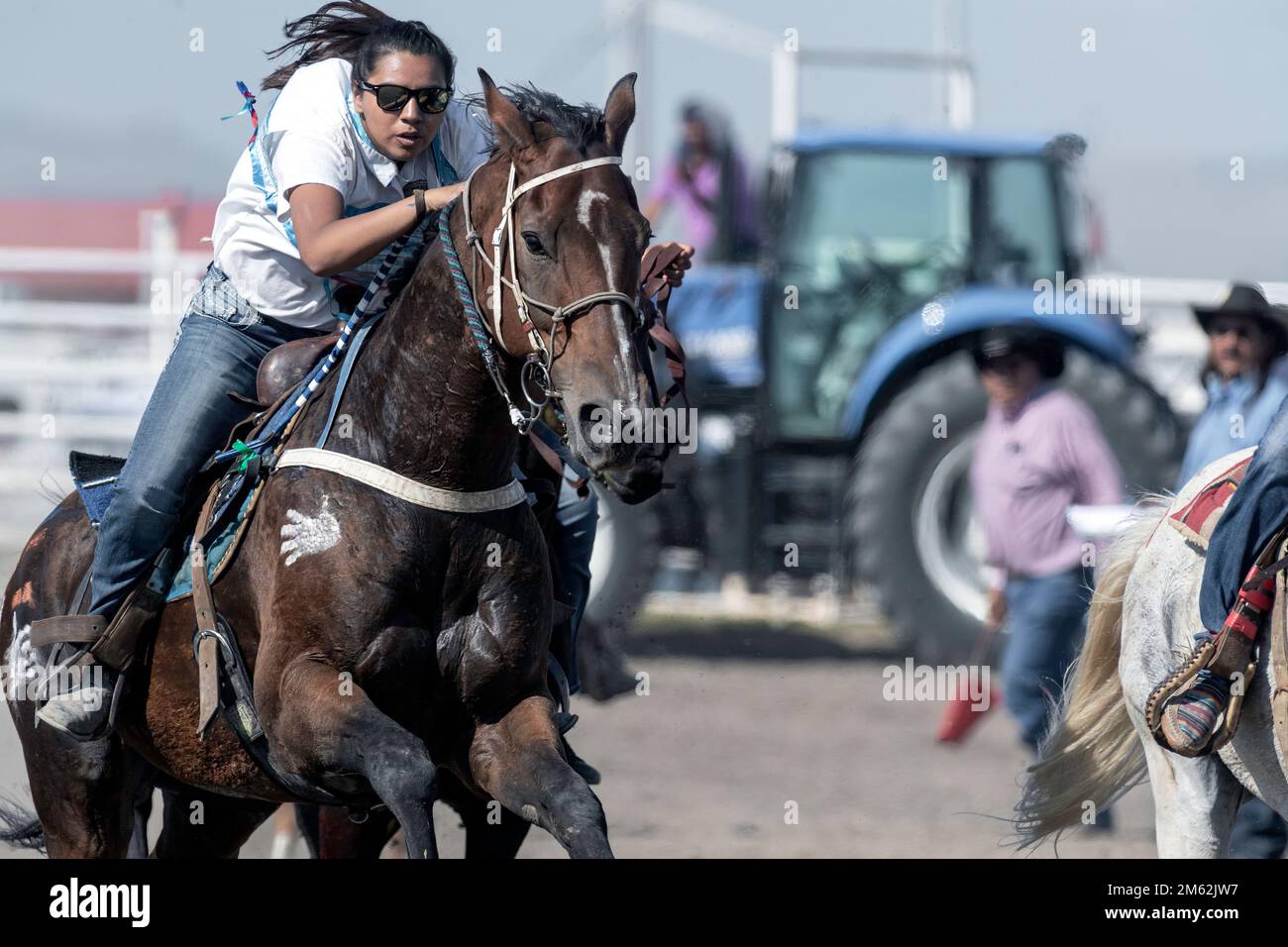 Lady Warrior Race al Piikani (Blackfoot) Nation Indian Relay (cavallo) Race a Brocket, Alberta Canada Foto Stock