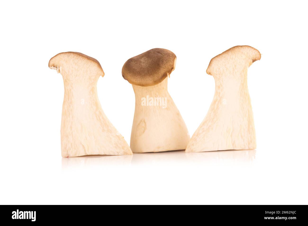 Fungo di ostriche del re Pleurotus eryngii su fondo bianco. Foto Stock