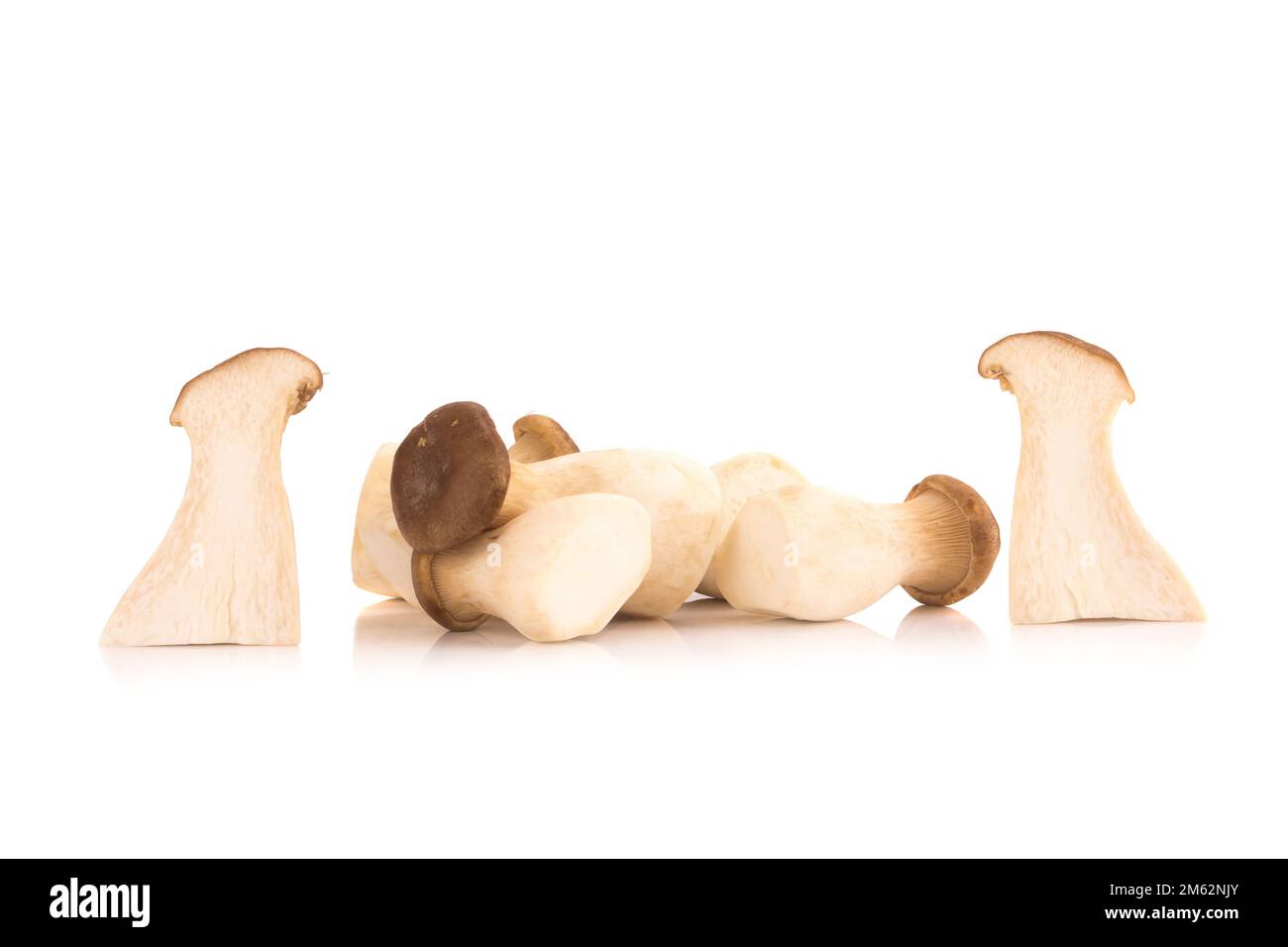 Fungo di ostriche del re Pleurotus eryngii su fondo bianco. Foto Stock