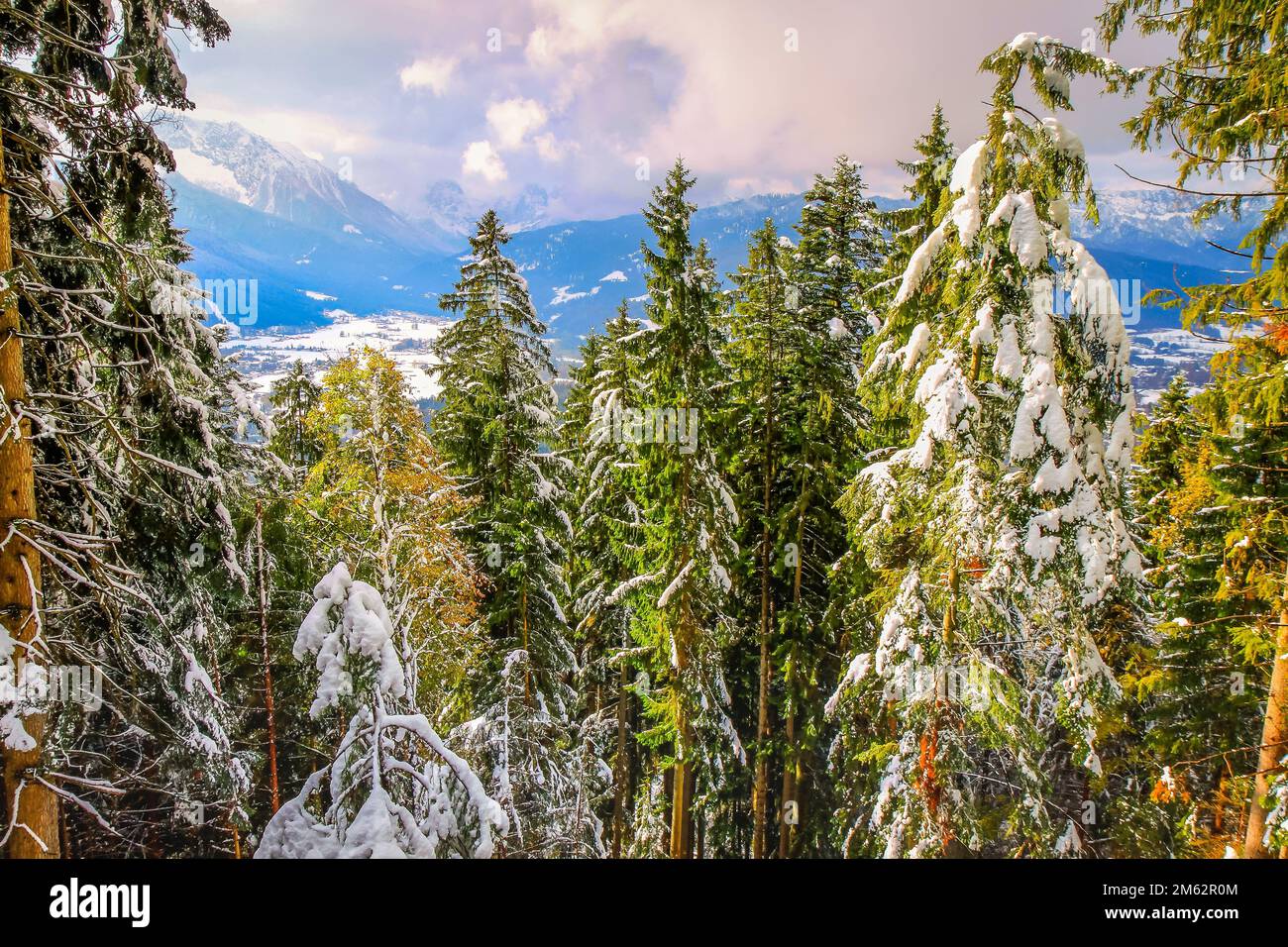 Strada nelle foreste alpine e pinete innevate nelle Alpi bavaresi in autunno, Germania Foto Stock