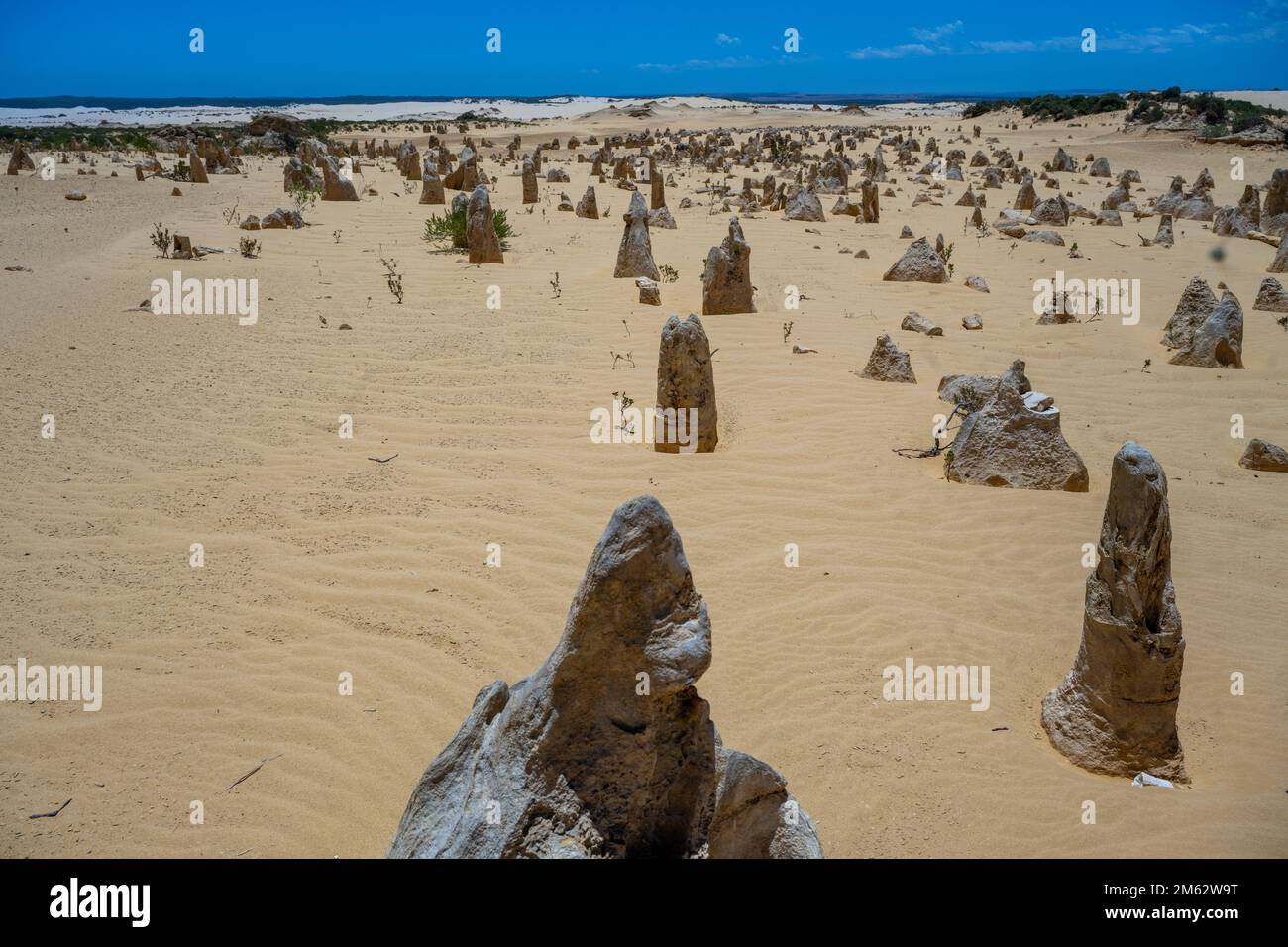 Pinnacles Desert Lookout e Drive-Tourism Australia Occidentale Foto Stock