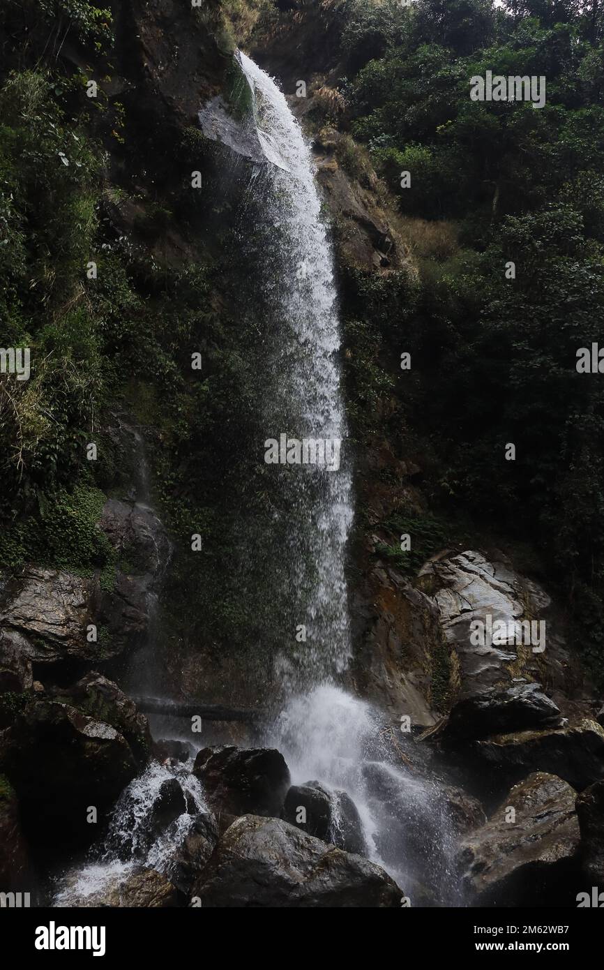 sette sorelle cascata e foresta pluviale tropicale, ai piedi himalayan colline a sikkim, india Foto Stock