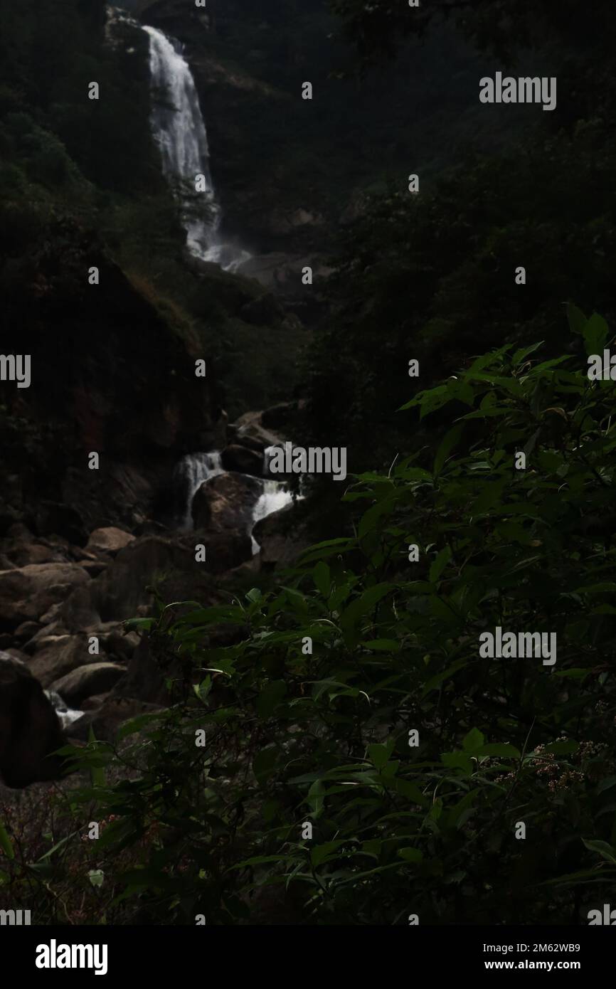 cascata di naga e foresta pluviale tropicale, ai piedi delle colline himalayane in sikkim, india Foto Stock