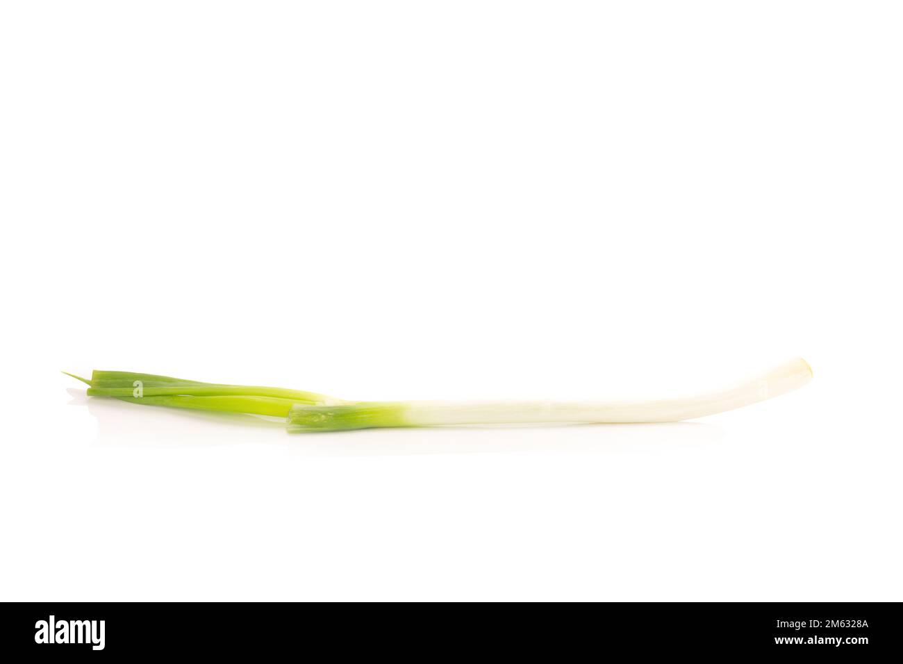 Cipolla verde giapponese a grappolo su sfondo bianco. Foto Stock