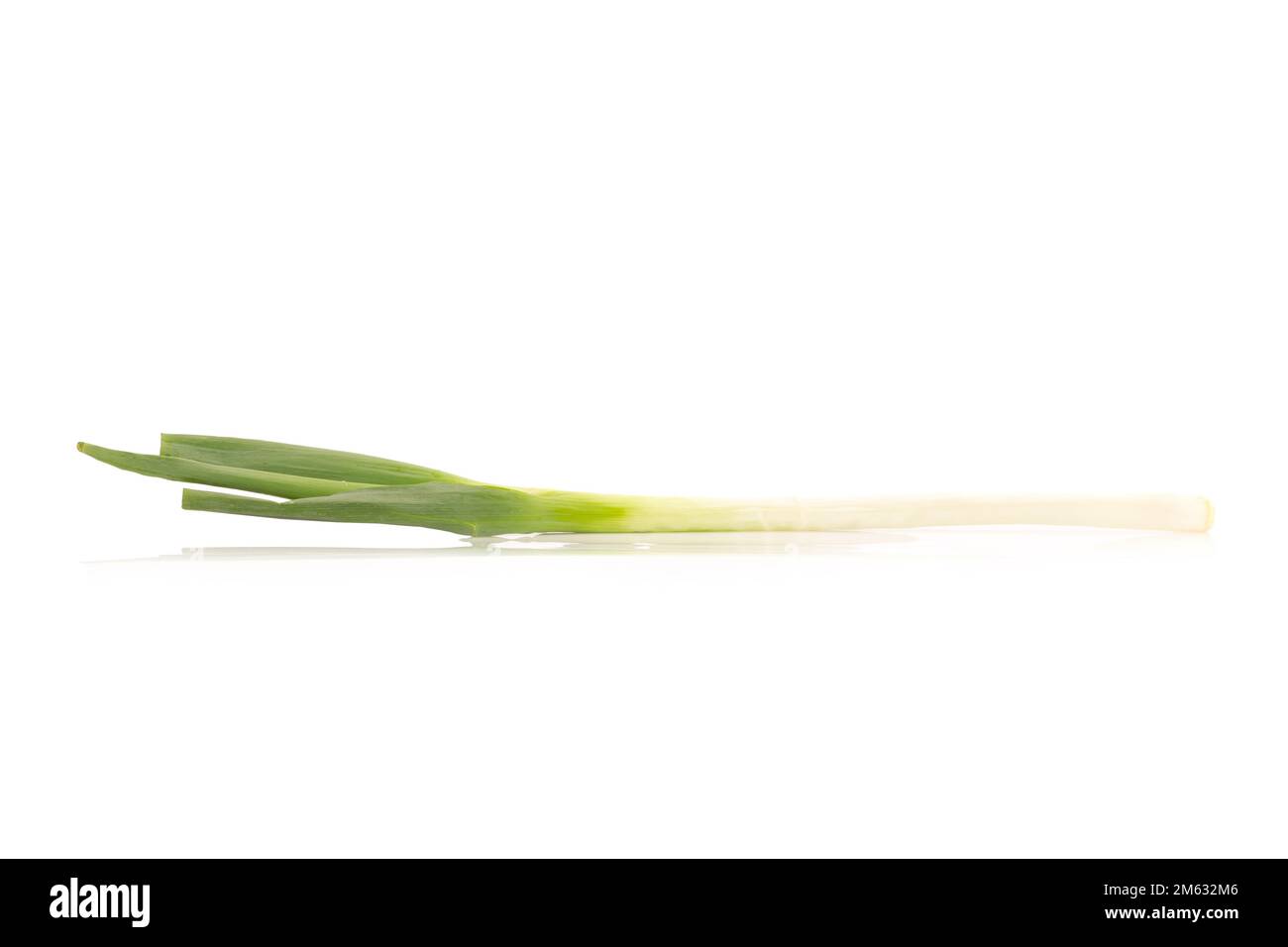 Cipolla verde giapponese a grappolo su sfondo bianco. Foto Stock