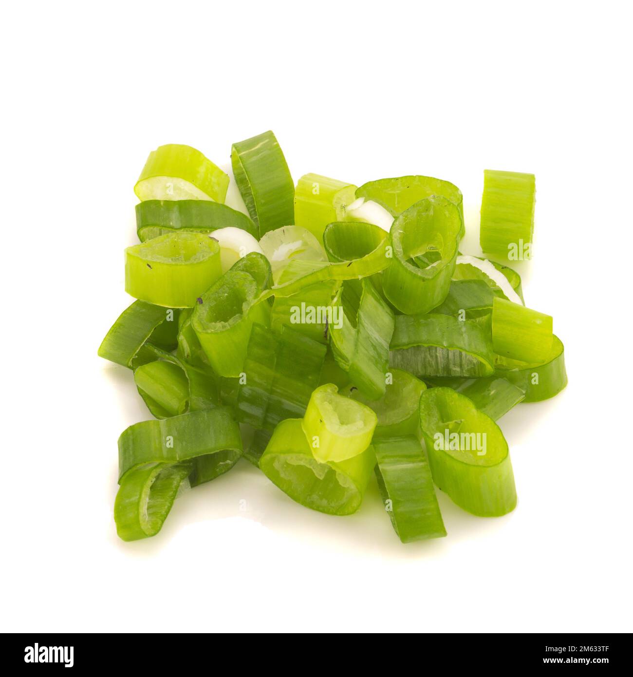 Cipolla verde giapponese a grappolo su sfondo bianco. Foto Stock