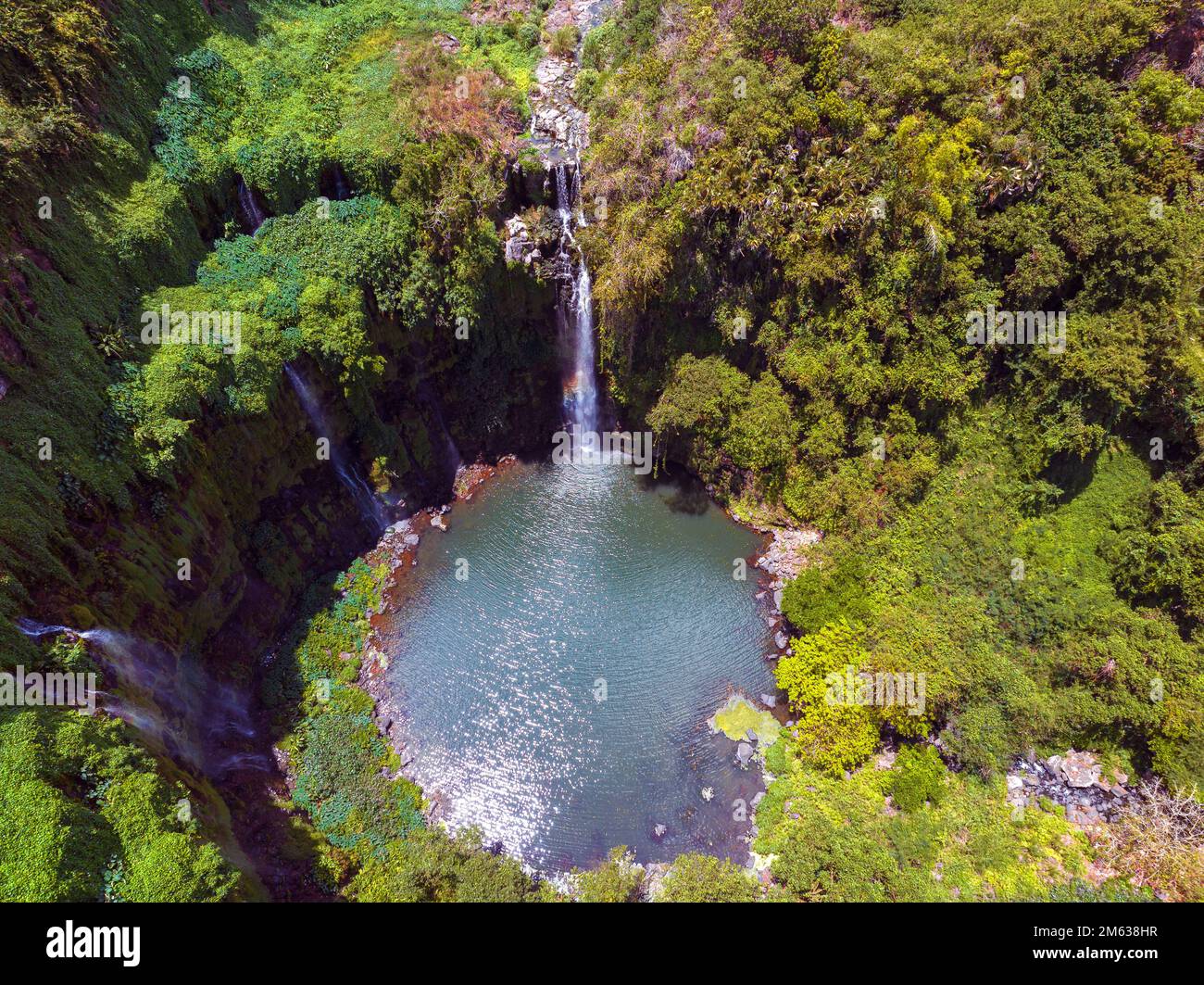 Cascade de Balfour. La cascata presso i Giardini di Ebene Balfour. Si tratta di una parte della capitale Port Louis nell'isola di Mauritius. Foto Stock