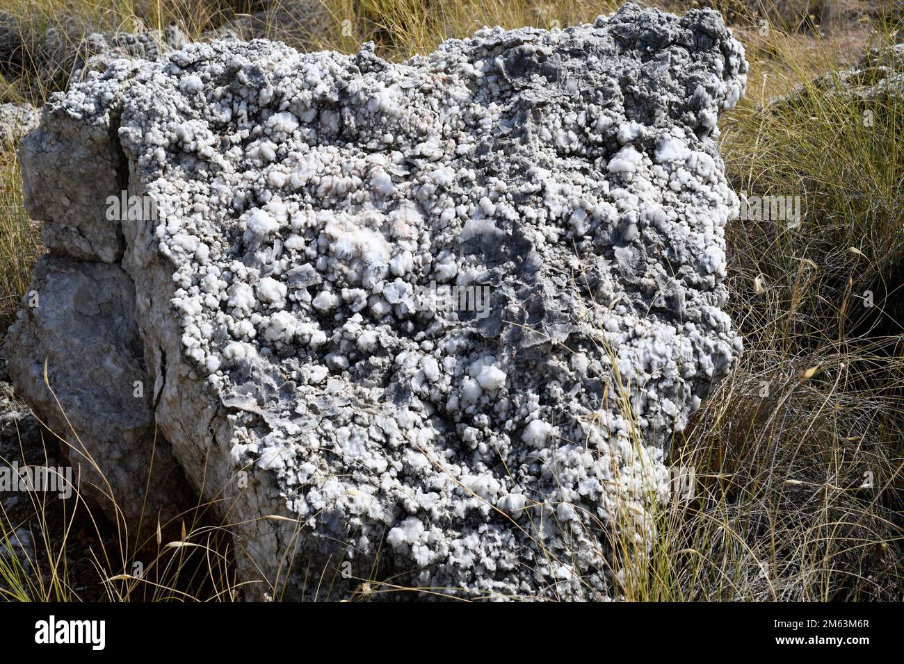 Gesso Saccharoid. Il gesso è un minerale diidrato di solfato di calcio.  Questo campione proviene da Urrea de Gaén, Teruel, Aragón, Spagna Foto  stock - Alamy