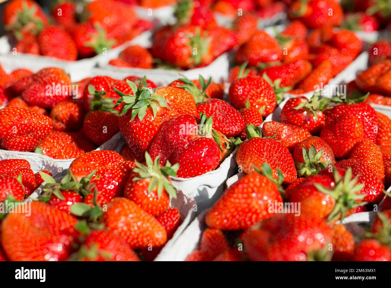 Fragole fresche sul mercato regionale con cibo locale Foto Stock