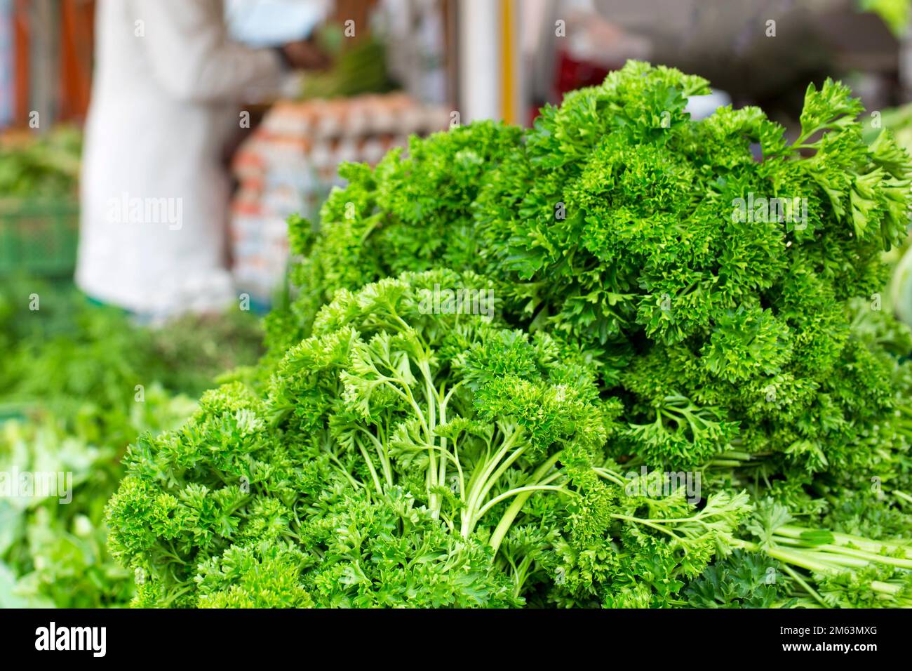 Prezzemolo fresco verde su un mercato locale con cibo regionale in Germania Foto Stock