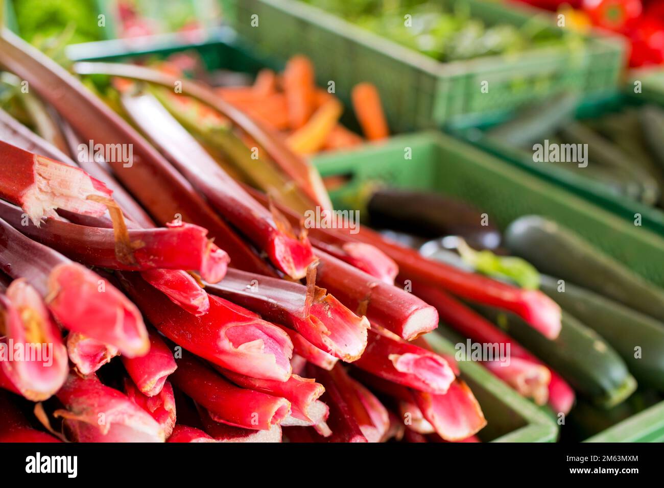 Verdure su un mercato locale con cibo regionale in Germania - f focus sul rabarbaro in primo piano Foto Stock