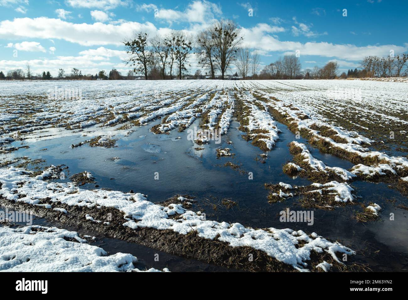 Acqua e neve su un campo rurale, vista su una chiara giornata invernale, la Polonia orientale Foto Stock
