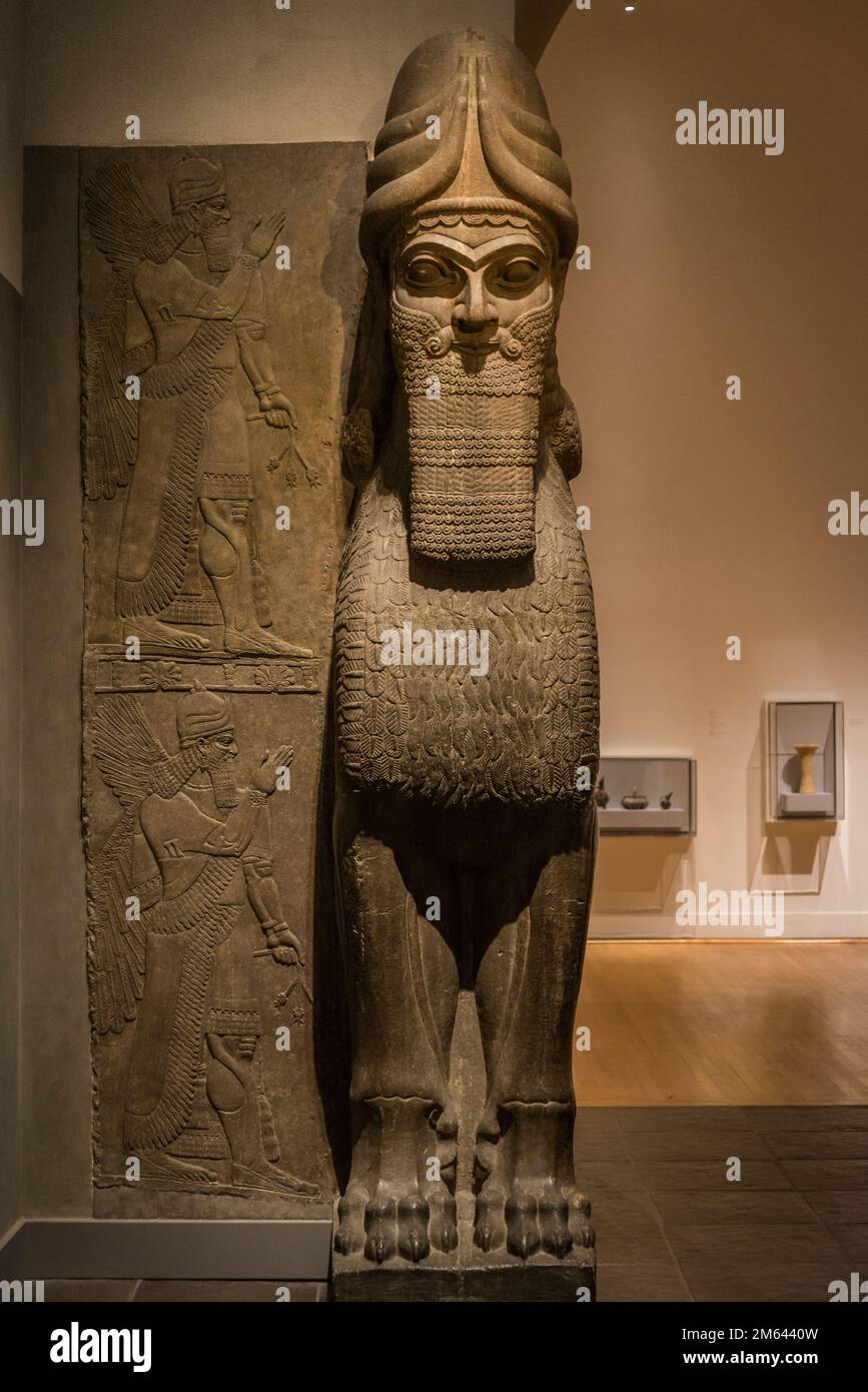 Toro alato (o Leone) con testa umana che serviva da porta d'ingresso al palazzo, sculture del palazzo assiro, Metropolitan Museum of Art, New York City, USA Foto Stock
