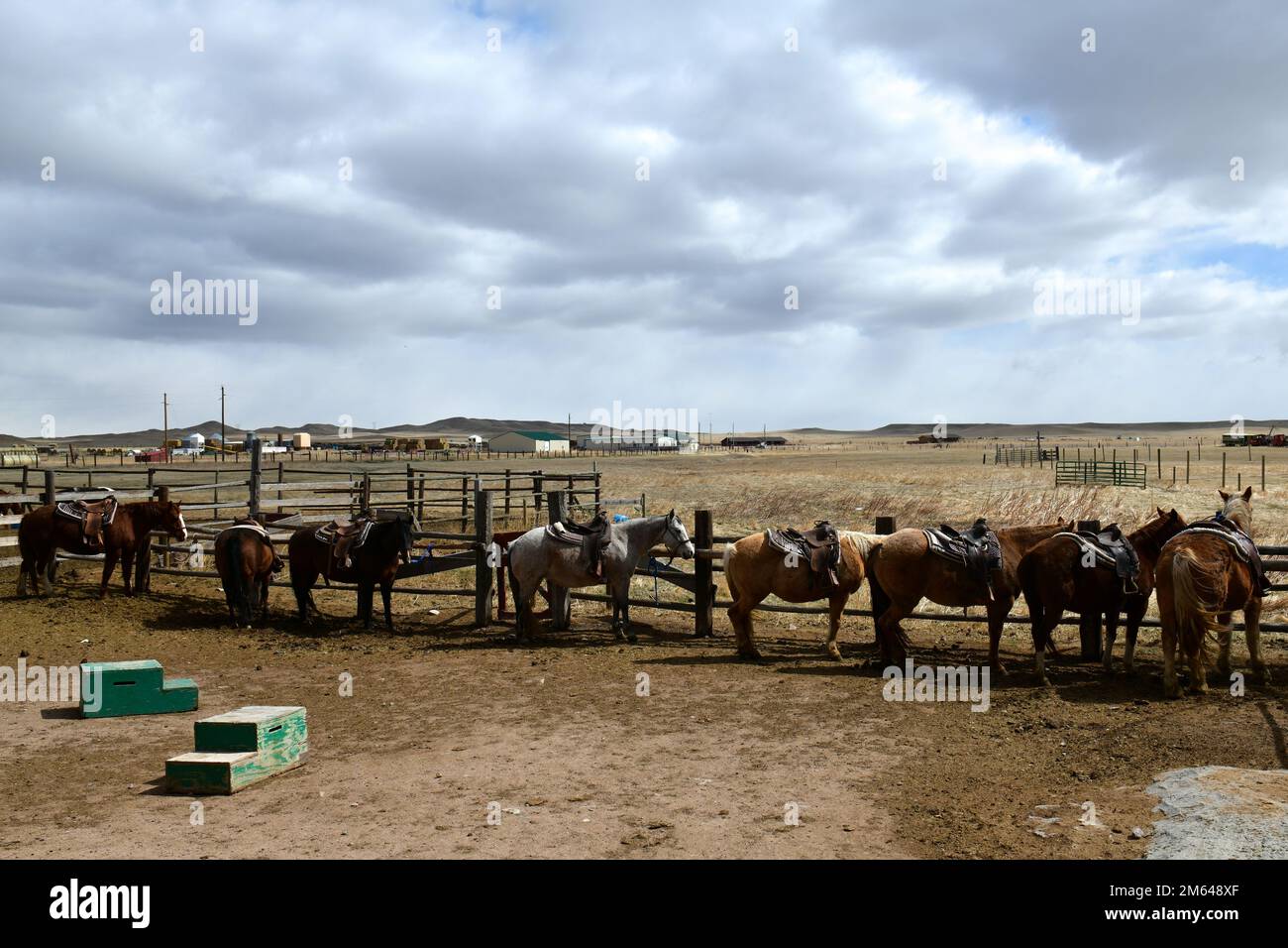 Un gruppo di cavalli si trova sul Terry Bison Ranch, il 30 marzo 2022, a Cheyenne, Wyoming. I visitatori del ranch possono anche fare escursioni guidate a cavallo di una o due ore con gli animali. 20 AF,90 Ala missilistica,AFGSC,vita selvaggia,animali,viaggio, Foto Stock