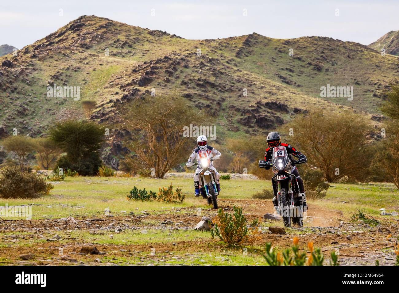 Al-'Ula, Arabia Saudita. 2nd Jan, 2023. 56 GOMEZ CANTERO Sandra (spa), Raids Experience, KTM, Moto, Motul, Azione durante la fase 2 della Dakar 2023 tra Sea Camp e al-'Ula, il 2nd gennaio 2023 a al-'Ula, Arabia Saudita - Foto Frédéric le Floc'h / DPPI Credit: DPPI Media/Alamy Live News Foto Stock