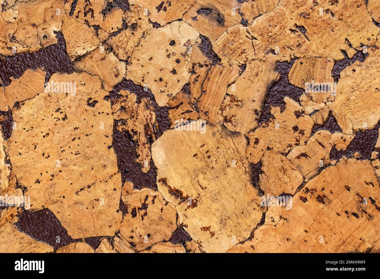 Struttura di materiale decorativo sughero closeup, sfondo naturale Foto Stock
