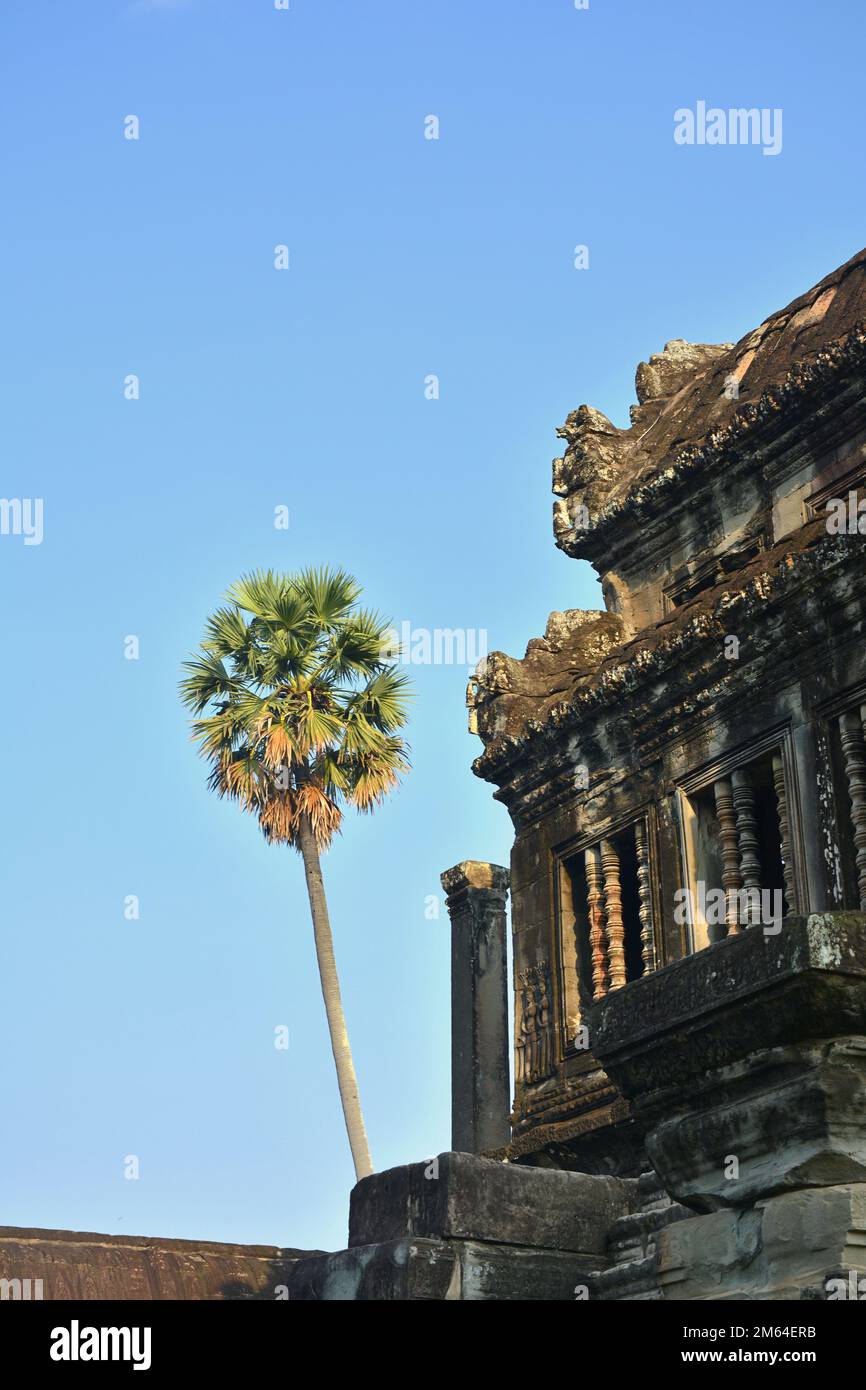 Biblioteca e palma all'interno del complesso Angkor Wat in Cambogia Foto Stock