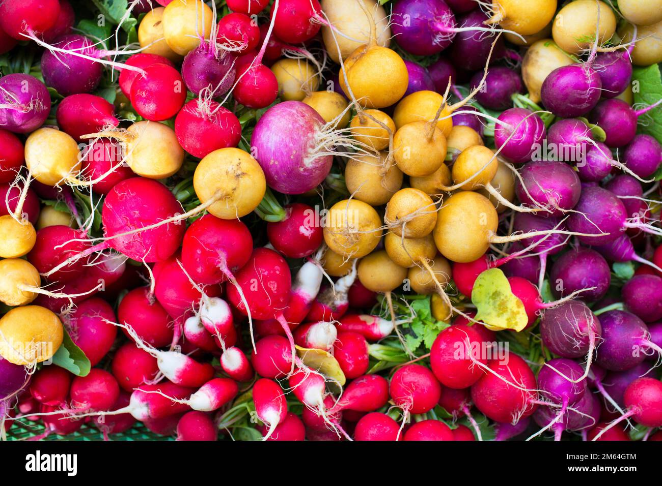 Fresco piatto colorato su un mercato locale che vende cibo biologico regionale in Germania Foto Stock