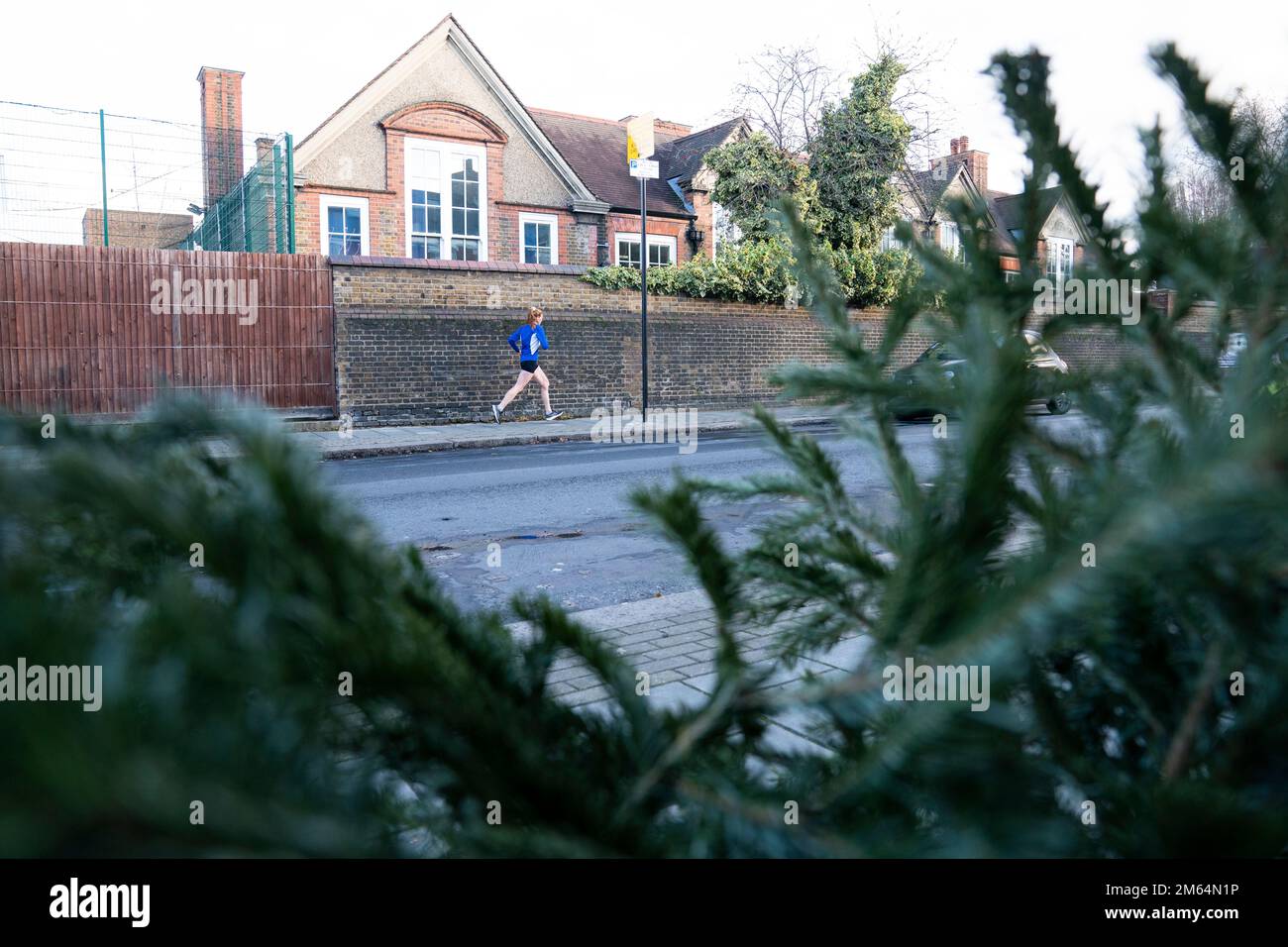 Una persona si aggirava davanti a un albero di Natale scartato sul marciapiede a Balham, nel sud di Londra. Data immagine: Lunedì 2 gennaio 2023. Foto Stock