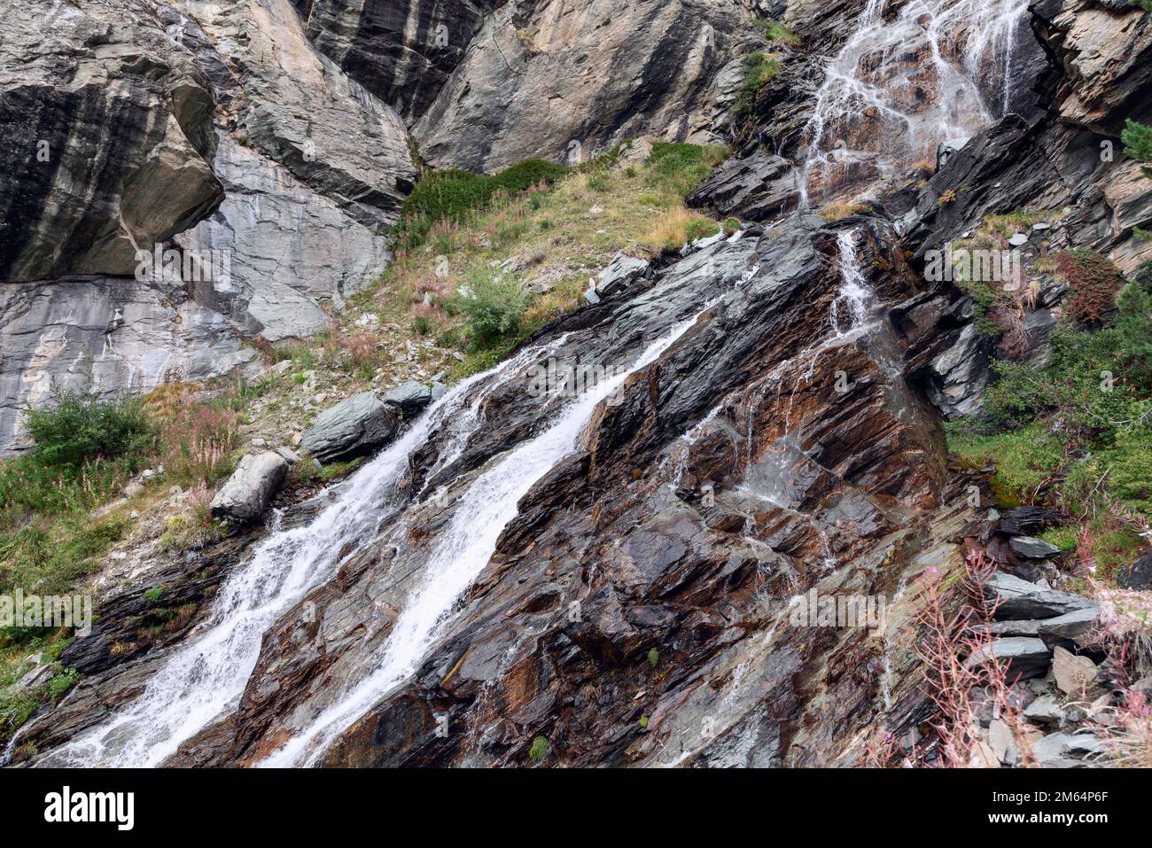 Vegetazione autunnale verde, sparsa ma molto varia, di muschi ed erbe su rocce marroni di granito carsico lavate dalle acque schiumose di una cascata alpina Foto Stock