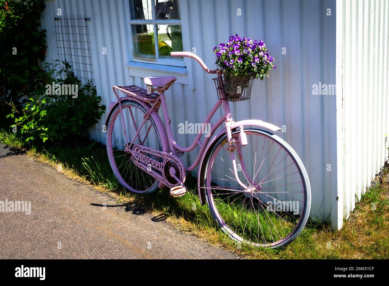 Una bicicletta decorativa con cesto di fiori appoggiato contro un muro di una casa sull'isola di Vrango, vicino Gothenburg, Svezia Foto Stock