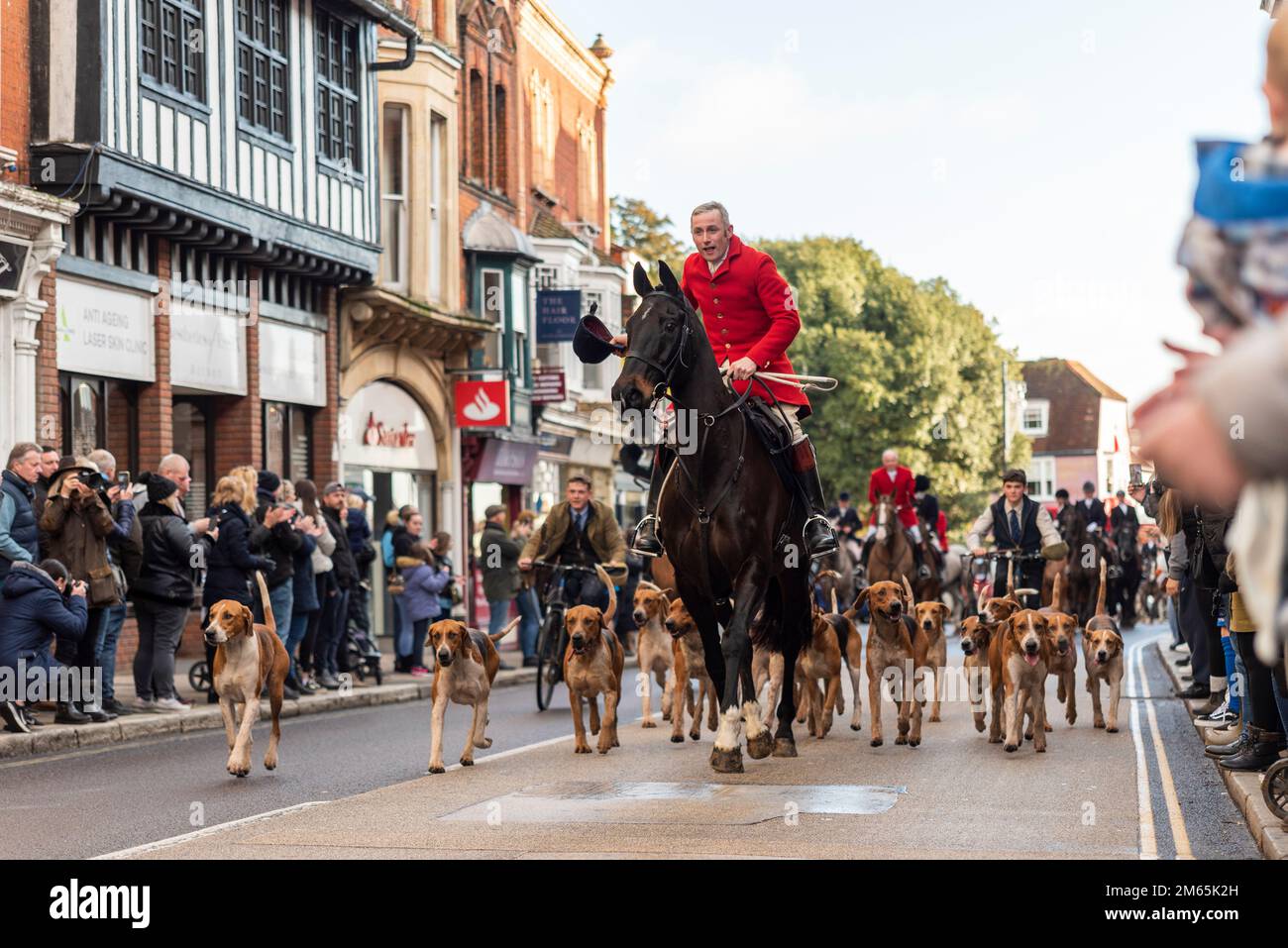 L'Essex con Farmers & Union Hunt sfilò cavalli e cani lungo Maldon High Street per il loro incontro annuale di Capodanno. Hounds e rider Foto Stock