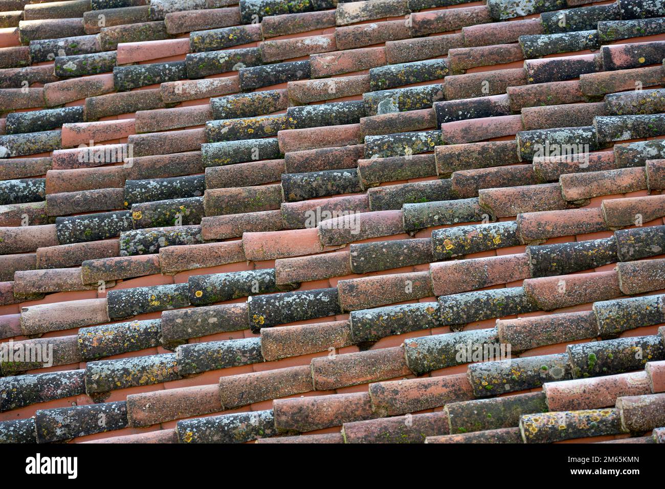 Un vecchio tetto in tegola spagnola con muschio Foto Stock