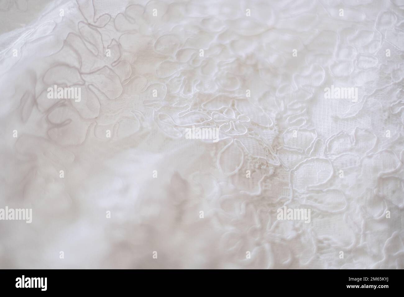 Primo piano di un pizzo su un abito da sposa. Foto di alta qualità. Foto Stock