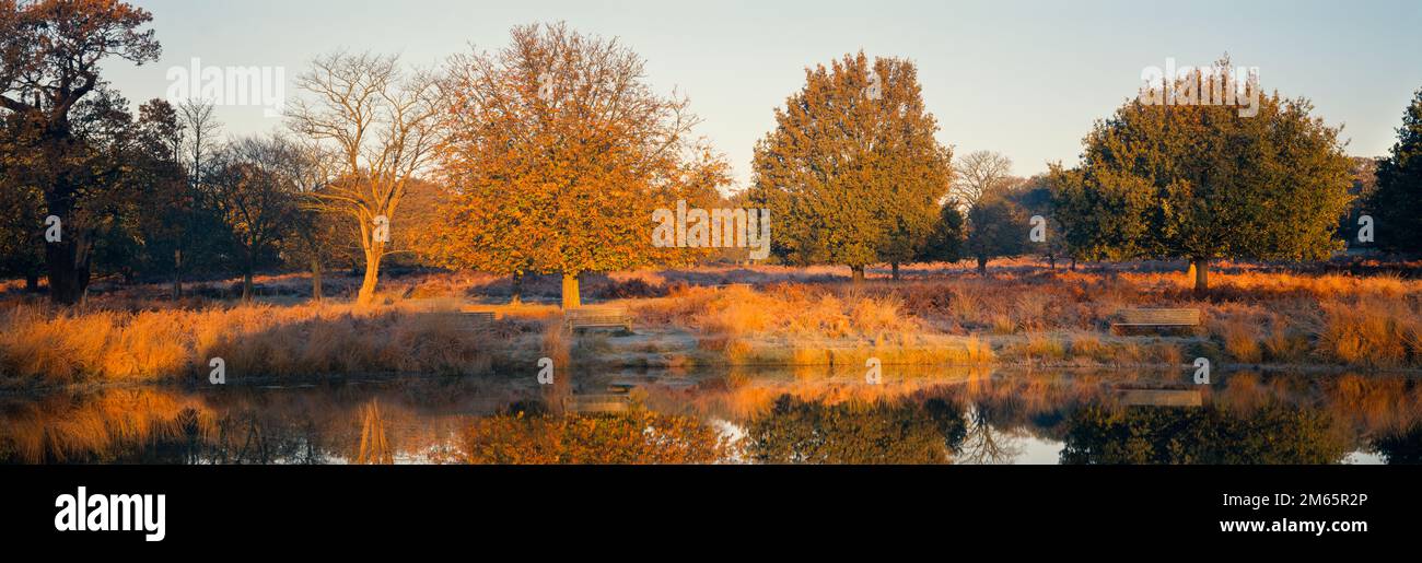 Richmond Park, laghetto e panchina, la mattina presto in autunno, Londra, Regno Unito Foto Stock