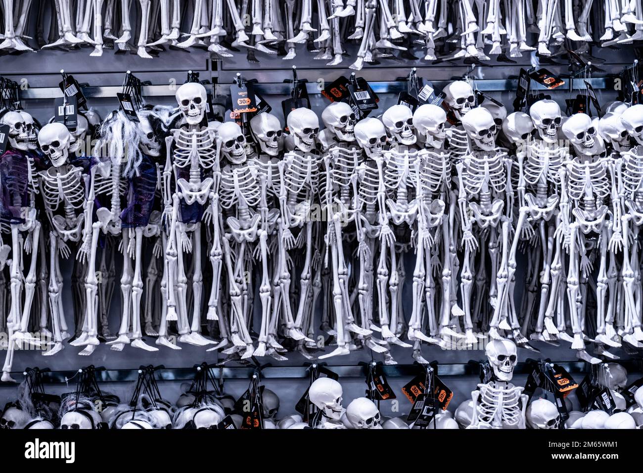 Kungsbacka, Svezia - settembre 11 2022: Scheletri di plastica che si riscaldano in un negozio prima di Halloween Foto Stock