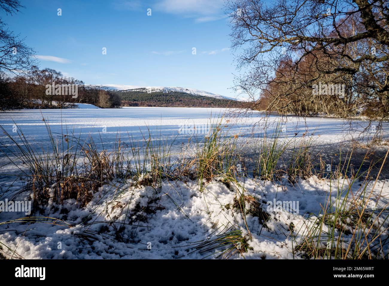 Loch Kinord a Muir of Dinnet National Nature Reserve Aberdeeshire Scozia Foto Stock