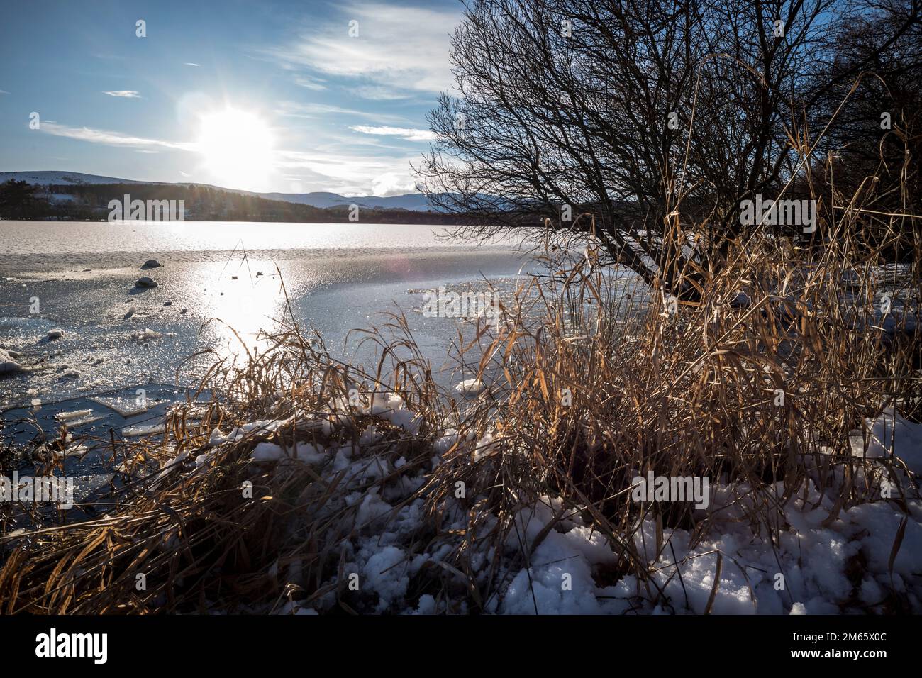 Loch Kinord a Muir of Dinnet National Nature Reserve Aberdeeshire Scozia Foto Stock