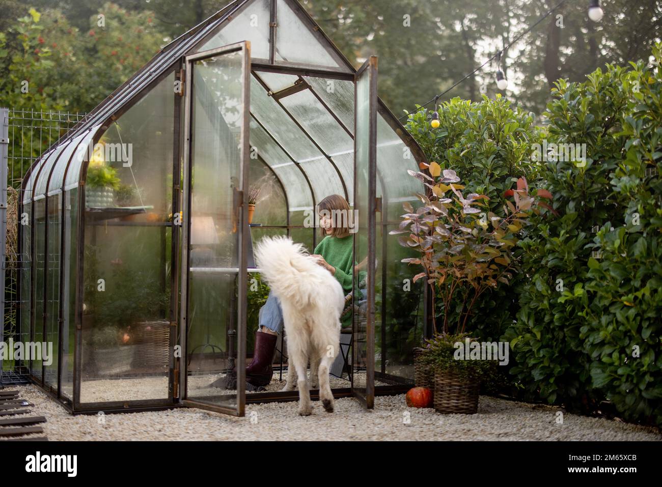 La donna gioca con il suo cane in giardino Foto Stock