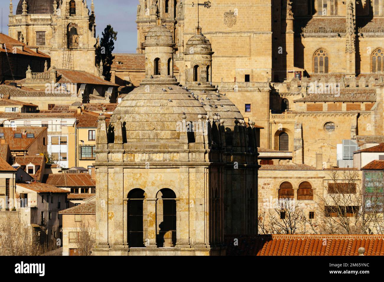 Paesaggio urbano della città vecchia di Salamanca. Castilla Leon, Spagna. Teleobiettivo Foto Stock