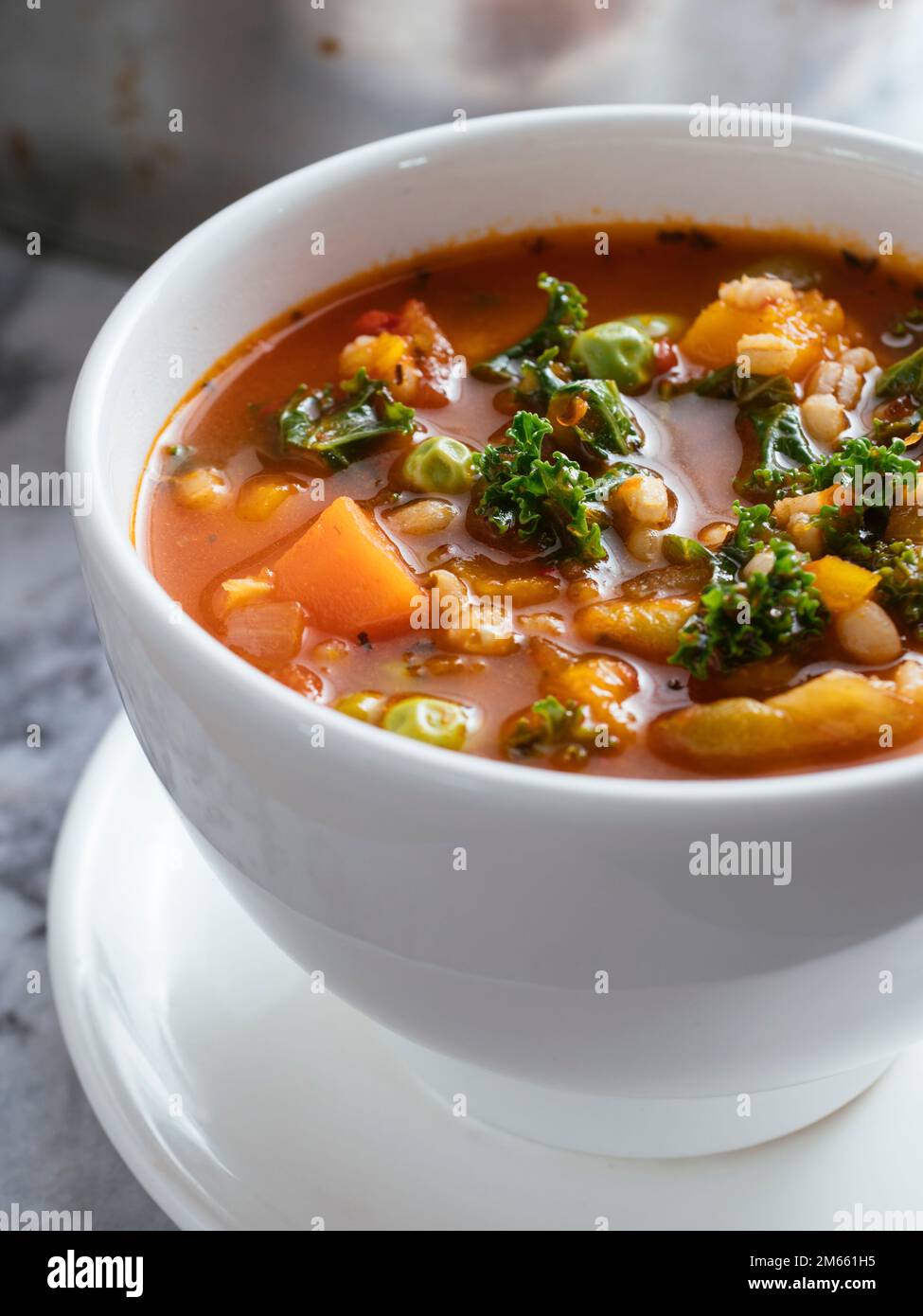 Minestrone italiano fatto in casa con zucca invernale, carote, cavolo, fagioli verdi, piselli, pomodori e orzo. Foto Stock