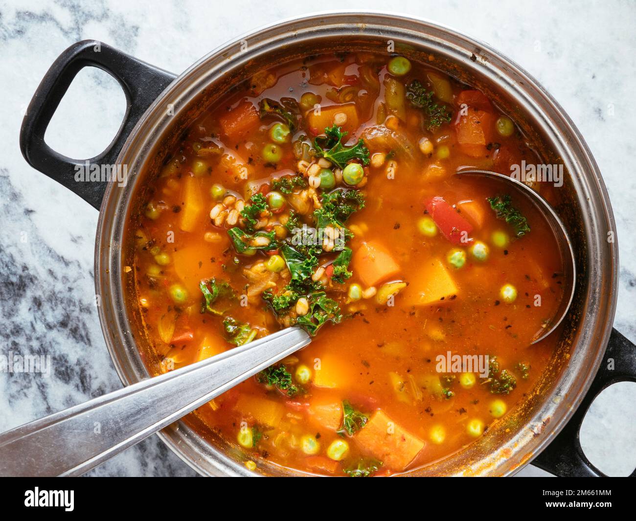 Minestrone italiano fatto in casa con zucca invernale, carote, cavolo, fagioli verdi, piselli, pomodori e orzo. Foto Stock