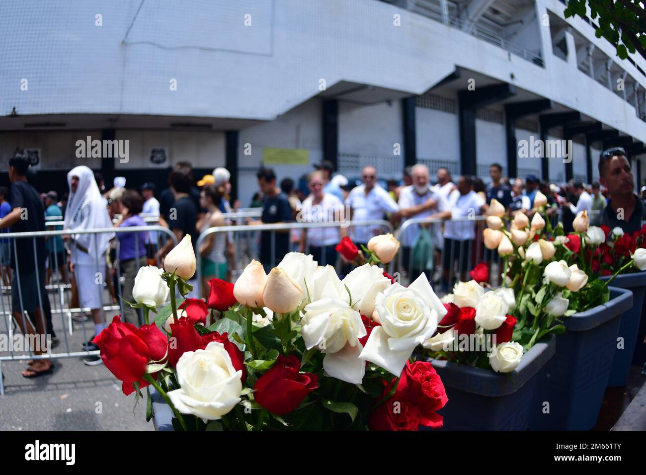Santos, Brasile. 02nd Jan, 2023. SANTOS, SP - GENNAIO 2: Fiori in vendita durante i funerali di Pele allo Stadio Vila Belmiro il 2 Gennaio 2023 a Santos, Brasile. La leggenda del calcio brasiliano è passata via dal cancro. (Foto di Leandro Bernardes/PxImages) Credit: PX Images/Alamy Live News Foto Stock