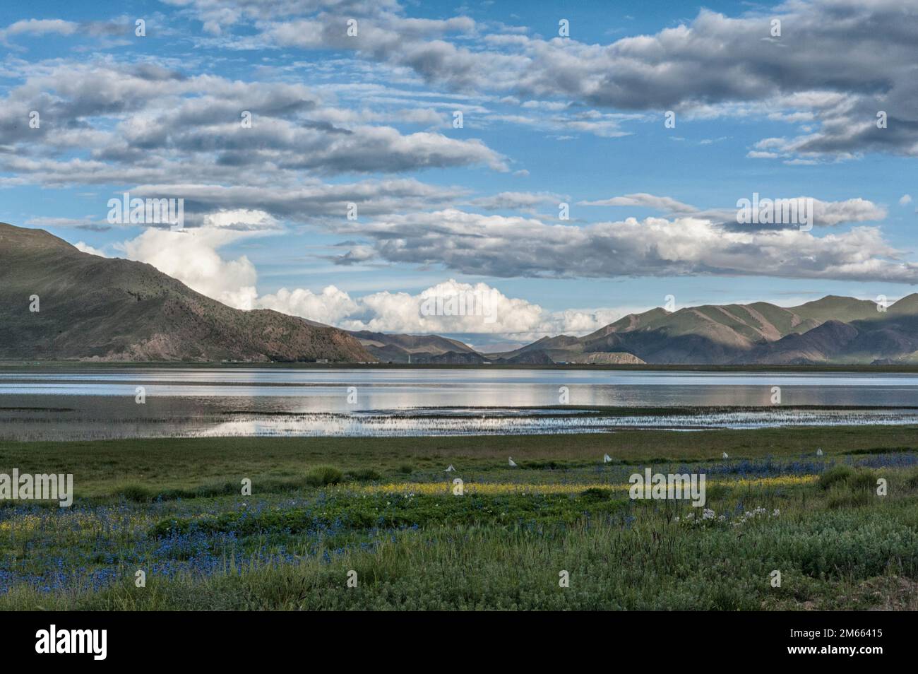 Bellissimo paesaggio tibetano Beetwen Monastero di Samding sul lago Yamdrok, Tibet Foto Stock