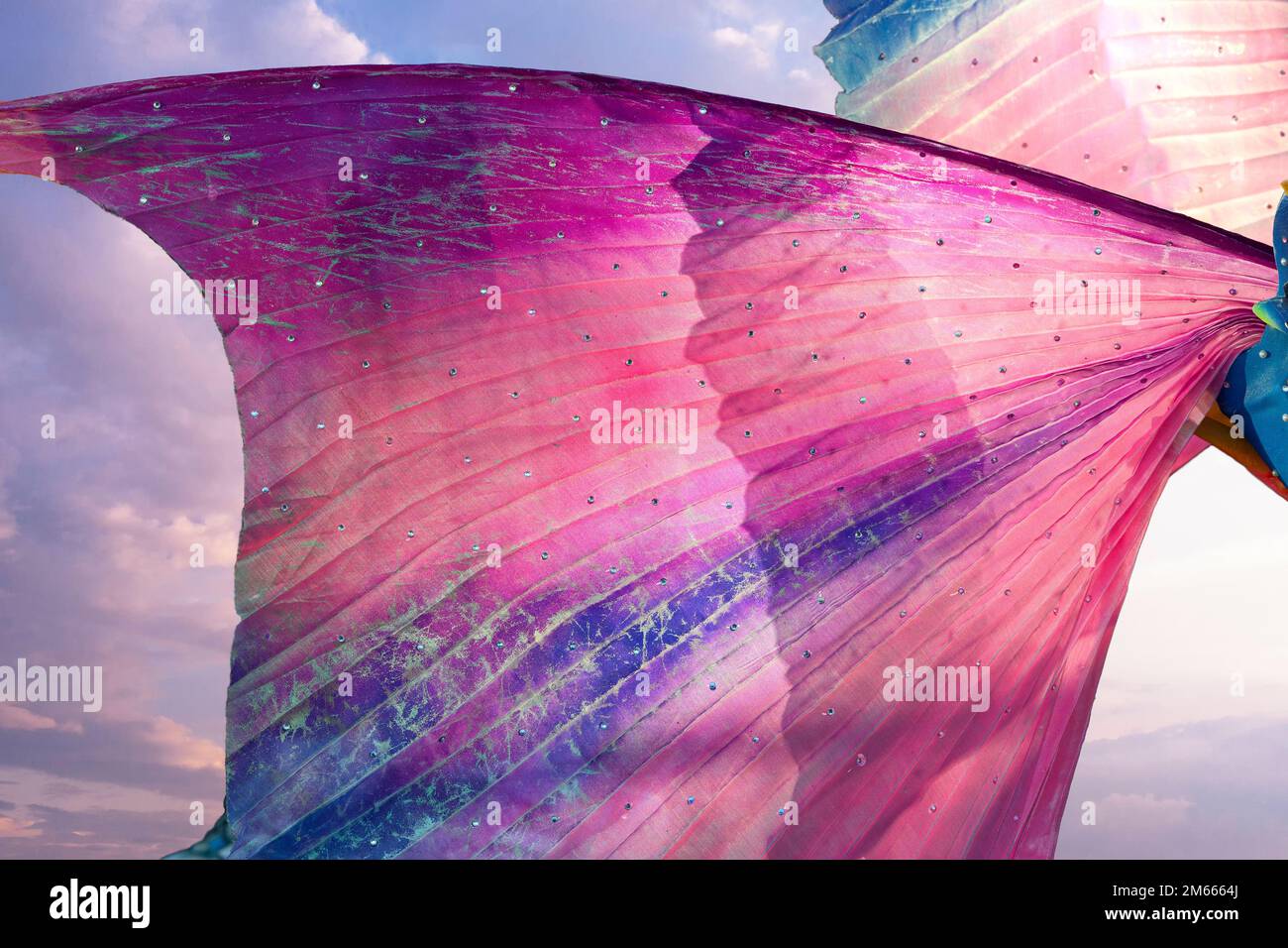 Ali di fata con sfondo cielo blu Foto Stock
