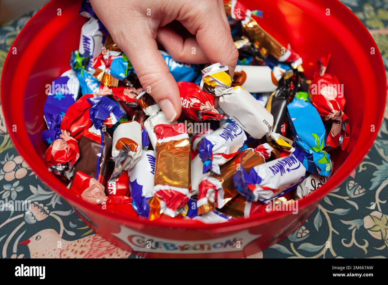 Raccogliere a mano il cioccolato dalla scatola di cioccolato di festeggiamenti Foto Stock