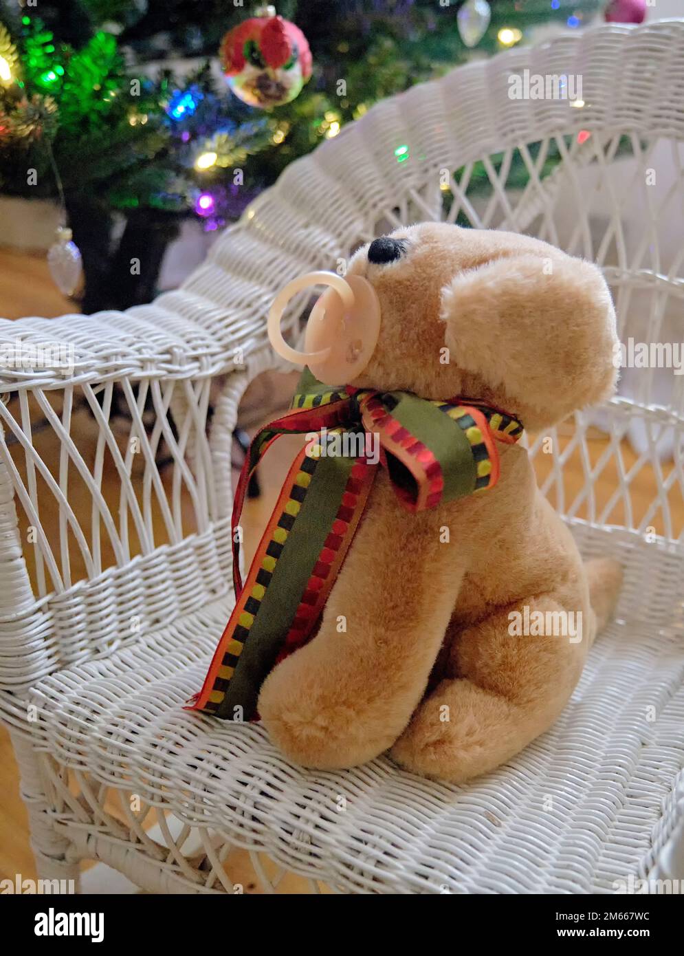 Un cucciolo di peluche color marrone con un succhietto in bocca si trova su una sedia a dondolo bianca in vimini vicino a un albero di Natale illuminato Foto Stock