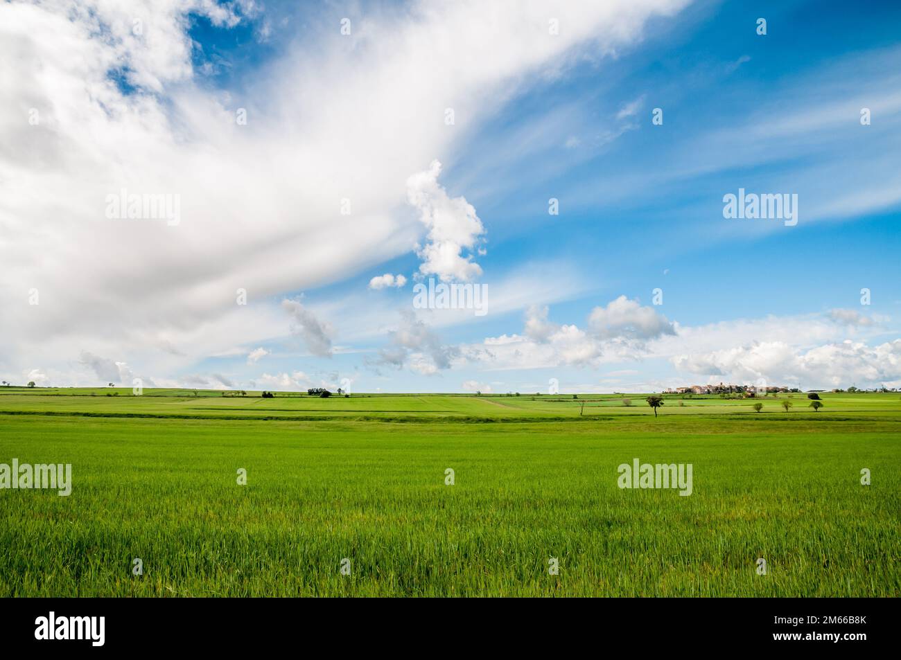 Paesaggio, campo verde, nuvole e cielo blu, sano, Montgai, Catalogna, Spagna Foto Stock