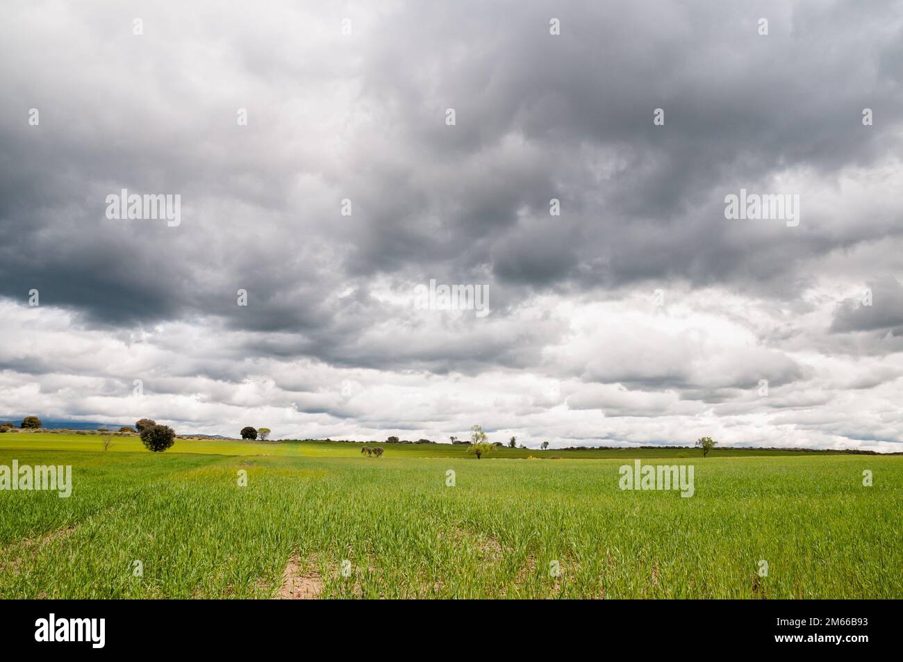 Paesaggio, campo verde, nuvole e cielo blu, sano, Montgai, Catalogna, Spagna Foto Stock