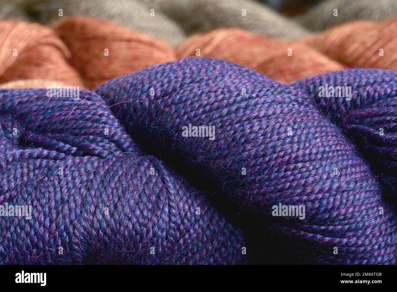 Filato di lana merino viola e marrone Foto Stock