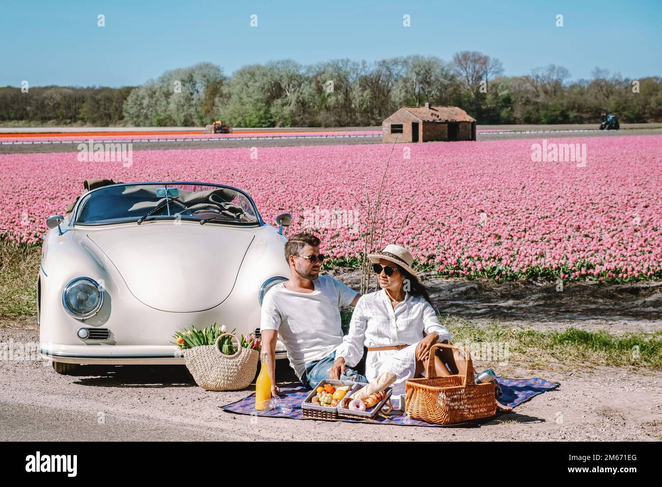 Lisse Netherlands coppia fare un viaggio su strada con una vecchia auto d'epoca nella regione olandese bulbo fiore con campi di tulipano durante la primavera Foto Stock