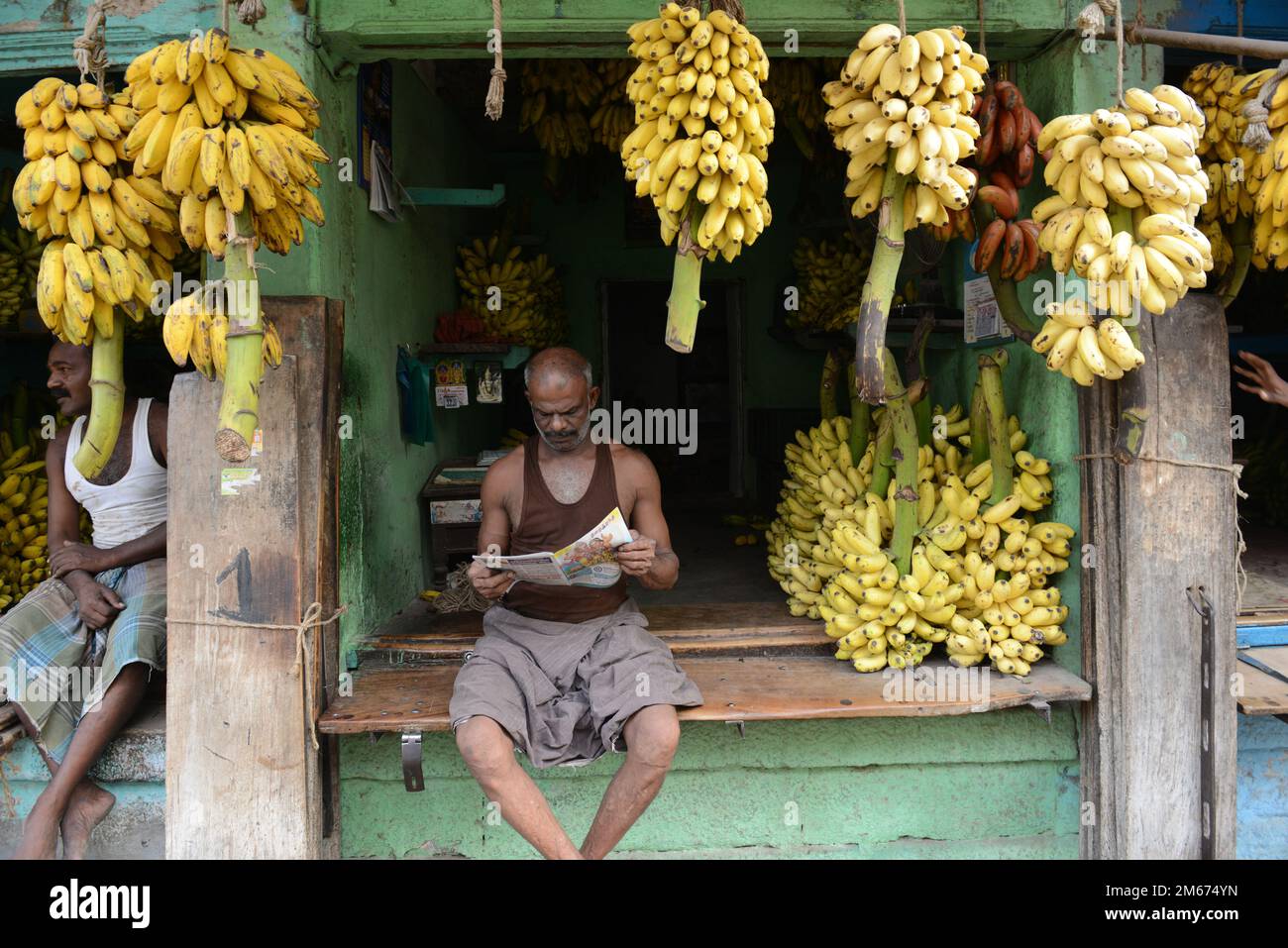 Colorate le banane vendute al mercato della banana a Madurai, India. Foto Stock