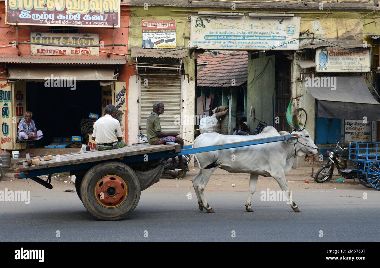 La vibrante città vecchia di Madurai, Tamil Nadu, India. Foto Stock